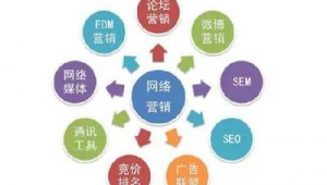 網絡推廣服務與網絡技術服務 賦能企業數字時代發展的雙翼